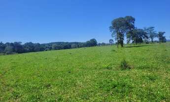 Imagem 3: Vendo Fazenda de 43 alqueires no município de Jaraguá