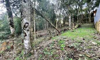 Imagem 5: Terreno no Giardini D'Itália em Gramado