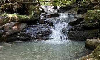 Imagem 2: Três Coroas , Cachoeira dentro da propriedade 4ha 369 mil