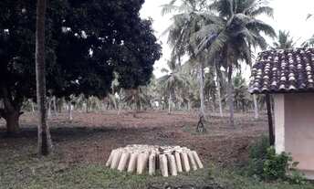 Imagem: Terreno Rural 49 tarefas, Conde Bahia