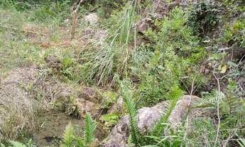 Imagem 7: Terreno para chácara de 9.600 m²