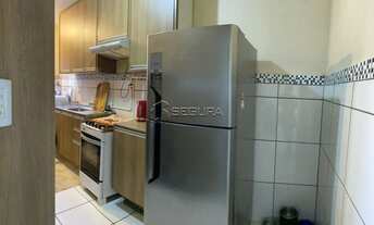 Imagem 6: CANOAS - Padrão - Marechal Rondon