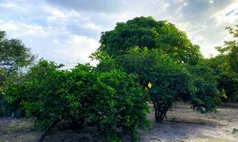 Imagem 5: Fazenda/Sítio/Chácara para venda com 150 metros quadrados com 2 quartos