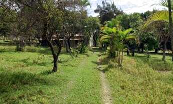 Imagem 4: Oportunidade ?mpar!!