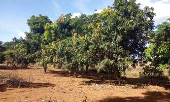 Imagem 7: Ot,chac,5000mts com cs 03 qts a 7 kms de brazlandia poço artesiano a/c,imovel e carro so 2