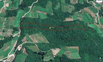 Imagem 2: Área de mato com 78000 m² - Monte Belo do Sul - RS