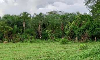 Imagem: Fazenda 63 alq, Uruana,GO