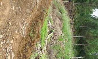 Imagem: Vendo Área 2.000M² para chacara em São