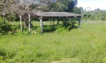 Imagem 7: Fazenda região do chumbo