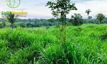 Imagem 3: FAZENDA À VENDA EM NOVO REPARTIMENTO - PA- 1868 HECTARES (DUPLA APTIDÃO