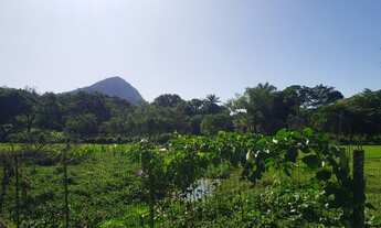 Imagem: Ótimo lote de terreno