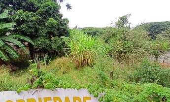 Imagem 3: Terreno no São Luiz