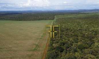 Imagem: Fazenda 132,5 Alqueires, Palmas, TO