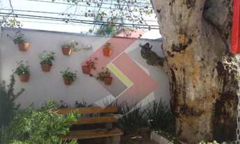 Imagem 3: CANOAS - Padrão - Marechal Rondon