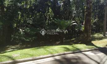 Imagem 2: GRAMADO - Terreno Padrão - Vila Moura