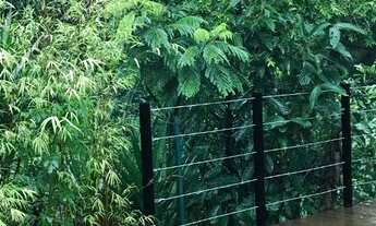 Imagem 6: Junto da natureza