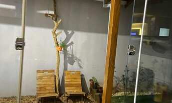 Imagem 4: Casa para venda possui 142 metros quadrados com 2 quartos