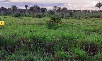 Imagem 7: FAZENDA À VENDA EM CODÓ - MA - DE 8,.583 HECTARES (Dupla Aptidão