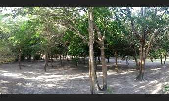 Imagem 4: Sítio com área de 12.420 metros quadrados- investimento