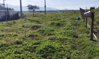 Imagem 4: TERRENO - GAMBOA