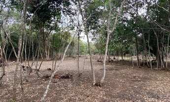 Imagem 2: Terreno bem próximo da Padaria Recanto Verde