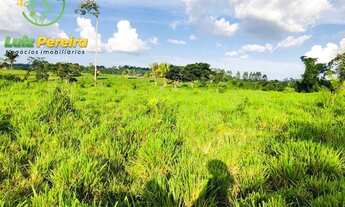 Imagem 4: FAZENDA À VENDA EM NOVO REPARTIMENTO - PA- 1868 HECTARES (DUPLA APTIDÃO