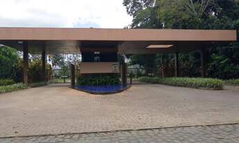 Imagem 6: Terra viva da aldeia