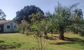 Imagem 7: Chácara 8 hectares. Jaraguari MS