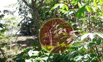 Imagem 5: Casa com 1 dormitório à venda por R$ 600.000,00 - Jardim São Paulo - São Paulo/SP