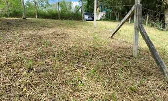 Imagem: Terreno no Bairro Campeche em meio a natureza