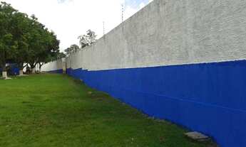 Imagem 3: Chacára no Capão do Pequi