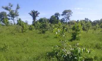 Imagem 2: Fazenda região do chumbo