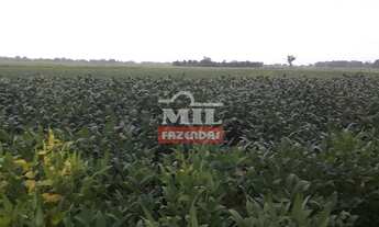 Imagem 4: Fazenda Produtiva em Porangatu-GO / 92 Alq. (445 Há