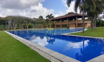 Imagem 1: Terra viva da aldeia