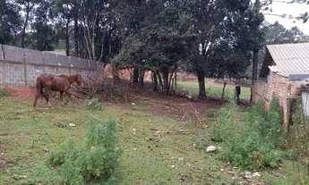 Imagem: Terreno para venda no Passaúna