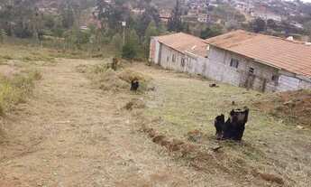 Imagem: Terreno à Venda c/ 600 m² - Vila Nova