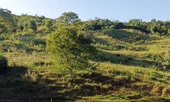 Imagem 7: 45 Alqueires de Cultura próximo a Ouro Verde de Goiás