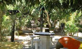 Imagem 7: Chácara para venda tem 580 metros quadrados com 3 quartos em Mosquito -