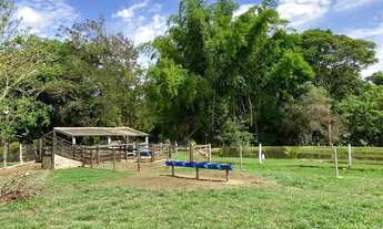 Imagem 7: Fazenda/Sítio/Chácara para venda com 97600 metros quadrados em Zona Rural - Bela Vista de