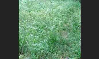 Imagem 6: Vendo casa em Curuçá-PA