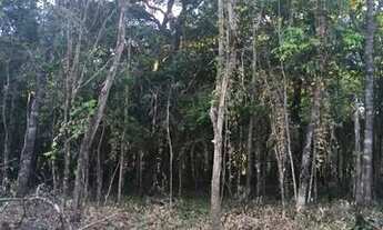 Imagem 4: Lote/Terreno em Pirenópolis-GO