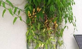 Imagem 4: Vendo Casa Condomínio Solar de Itacuruçá