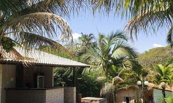 Imagem 6: Chácara para Venda em Vila Romana - Aparecida De Goiânia