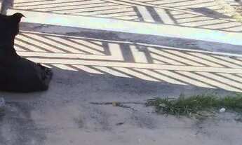 Imagem 3: Vende se duas casas