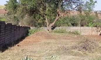 Imagem: Ribeirão Preto - Terreno Padrão - Jardim