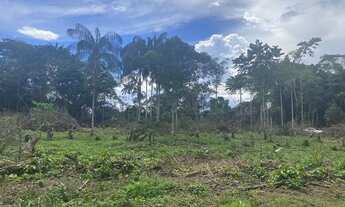 Imagem 2: Troco terreno/sitio/chácara na AM 010 km 52