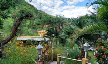 Imagem 3: Sítio Excelente com 48 Hectares Próximo à Sapucaia !!