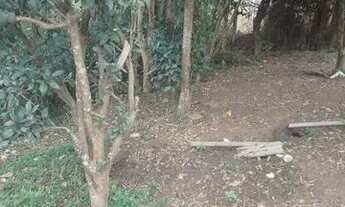 Imagem 4: Imóvel Casa com 2 dormitórios