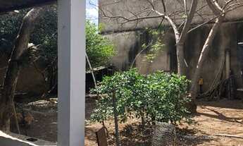 Imagem 4: Casa Bairro Roosevelt