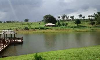 Imagem 4: Fazenda/Sítio Luxuoso a venda 53,24 hectares Munícipio de Turvânia/Go